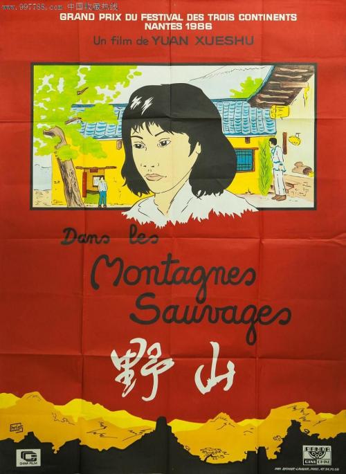 假驾驶出售许可证